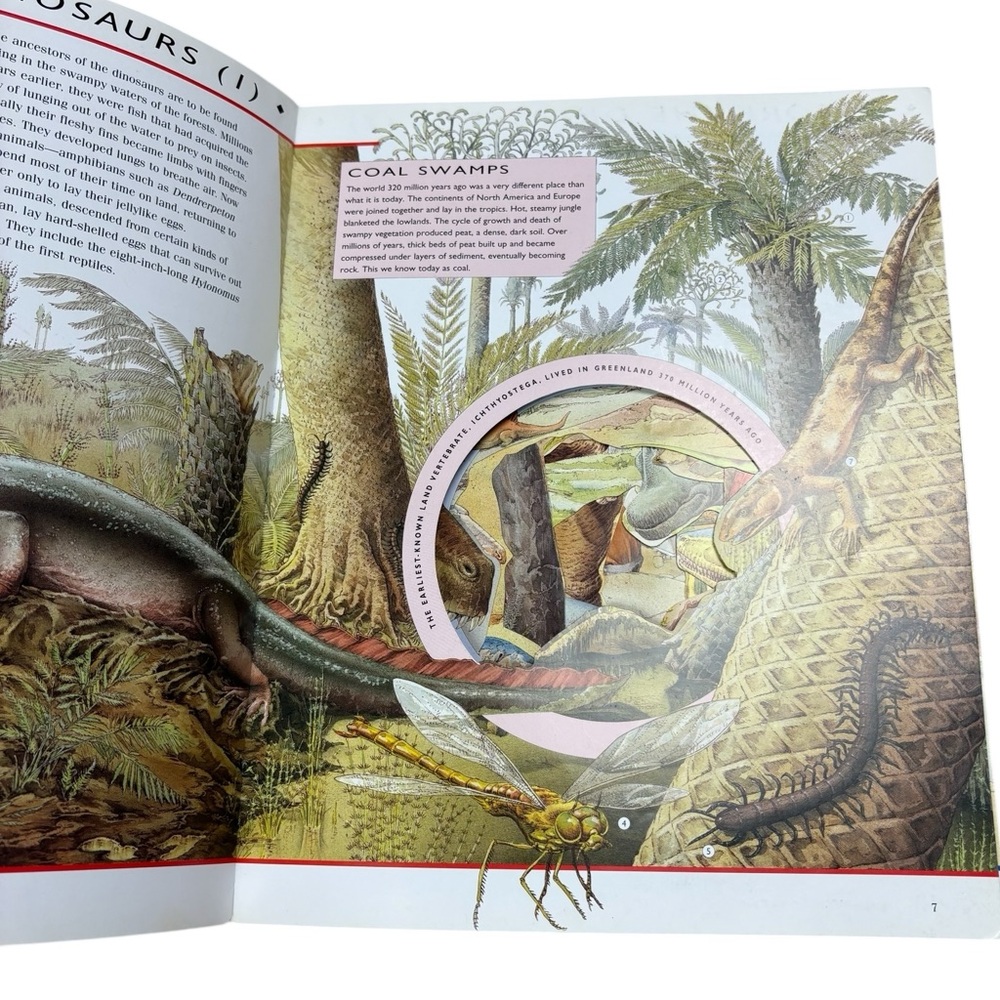 Journey Through the World of the Dinosaurs Book - Picture 9 of 12